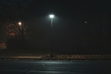 Poster - Illuminated street lamp beside a bare tree against a dark wall at night creating a serene, moody atmosphere