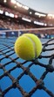 © ArtCookStudio - Yellow tennis ball caught in blue net at a tennis court during a sunny afternoon with blurred background of