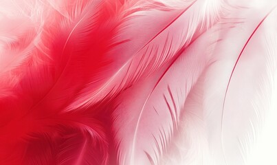 Poster - Vibrant Red and White Feathers Abstract Background with Soft Textures and Delicate Patterns