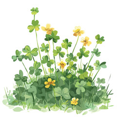 Sticker - A watercolor vector of a patch of summer clovers in soft sunlight, isolated on a white background. Summer clovers sunlight vector.
