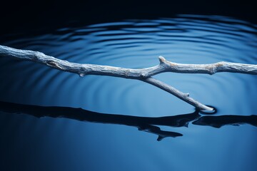 Poster - Ripples dance around a branch resting on tranquil water at dusk. Generative AI