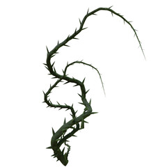 3d rendered wild green branch isolated on transparent background
