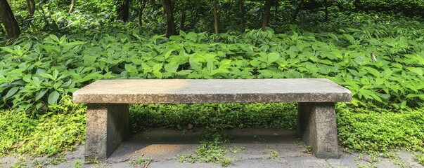 Poster - Solitary stone bench surrounded by lush greenery in the heart of the forest, inviting moments of serenity and contemplation.