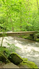 Wall Mural - Rustic wooden bridge over turbulent waters of fast flowing river in Warche valley, with lush wild vegetation in background, cloudy and rainy summer in Waimes, Belgium. Static shot