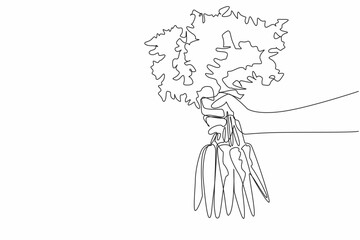 Poster - Single one line drawing hand holding several carrots with very thick leaf tips. Carrot farmers get the desired results. Healthy. International Carrot Day. Continuous line design graphic illustration