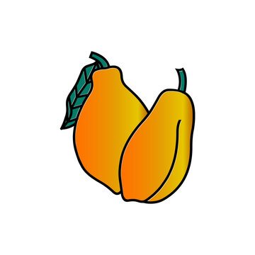 ripe papaya fruit icon
