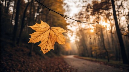 Aufkleber - A lone autumn leaf hangs delicately from a branch, bathed in the soft glow of the setting sun, casting long shadows through the trees on a winding woodland path.