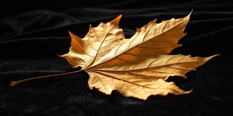 Poster - A single golden autumn leaf rests upon a smooth black fabric, its intricate veins and delicate edges illuminated by a soft light.