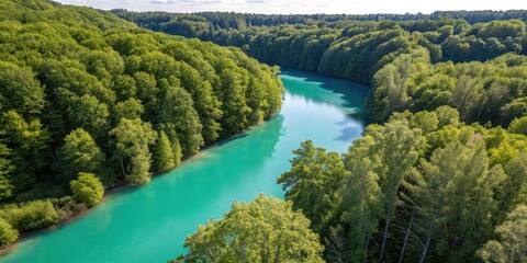 Poster - An aerial view of a winding river carving through a lush forest, the water a vibrant turquoise against the verdant canopy