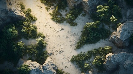 Aufkleber - Top view of a canyon floor with winding paths and scattered desert vegetation glowing under soft light