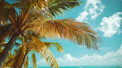 a close-up of palm tree leaves rustling in the wind, capturing the fine texture and curves of the fr