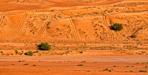 Wall Mural - Wahiba Desert. Oman. Golden sand dunes. Summer travel and tourism