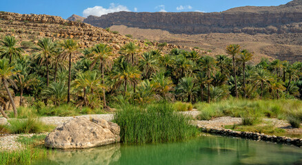 Wall Mural - Oman. Oasis Wadi Bani Khalid. Lagoon with fresh emerald water and beautiful rocks	