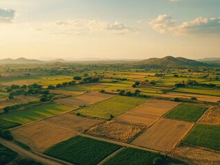 Wall Mural - Aerial View of Field and Mountain