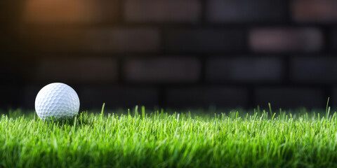 golf ball resting on vibrant green turf against dark background