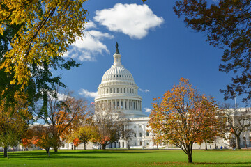 Wall Mural - US Capitol Building in autumn foliage - Washington DC United States