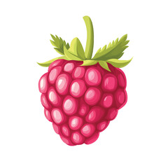 Wall Mural - A fresh raspberry vector illustration isolated on a white background.