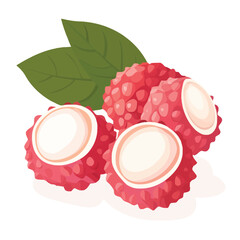 Wall Mural - A detailed vector illustration of a lychee fruit isolated on a white background.