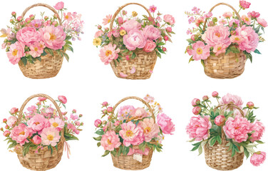 peony basket watercolor clipart 