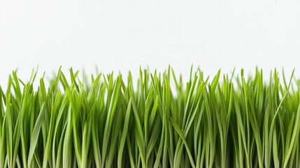 Poster - Detailed shot of green grass tufts arranged in a perfect row, highlighting the vibrant freshness and texture of each blade.