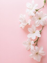 Wall Mural - White Flowers on Pink Surface