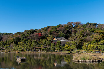 Wall Mural - 紅葉の三渓園