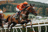 Horse racing with a jockey on the hippodrome, equestrian sport jumping over the uneven bars.