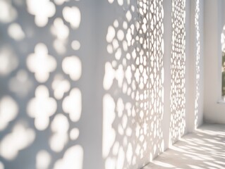 Poster - Sunlit wall with patterned shadows.