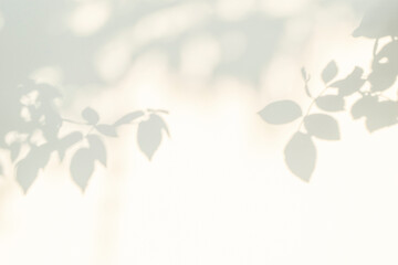 Aufkleber - Rose leaf shadow. Shadows and light from sunlight of natural rose leaf tree branch plant , grey rose leaves shadow overlay effect for foliage mockup