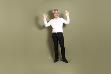 Wall Mural - Active Senior Businessman