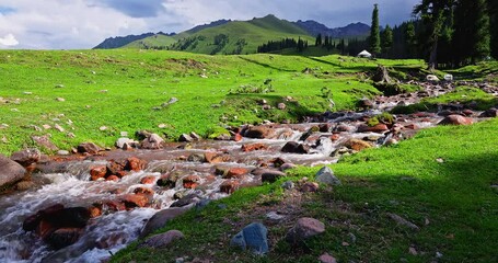 Wall Mural - Beautiful Nalati grassland scenery in summer. Flowing stream and green grassland with mountain natural landscape in Xinjiang. Famous travel destination in China.