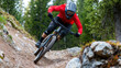 © jittam - Mountain biker navigating steep trail in forested area, showcasing skill and speed