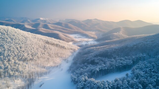 Aerial shot of the serene Taebaek Mountain Range covered in fresh snow, with soft light creating a peaceful winter scene, in 4K resolution