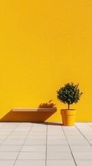 Poster - Minimalist orange art display with potted plant urban setting high-resolution textures bright environment aesthetic viewpoint