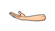 © Dreamwave AI - Cartoon Illustration of Outstretched Human Arm with Open Hand