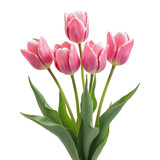 Pink tulips in a vase with green leaves