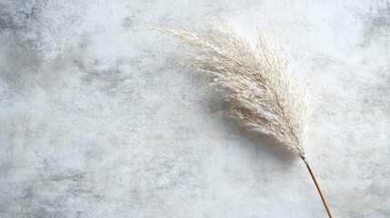 Poster - texture, minimalist style, clean aesthetic, sharp focus