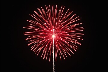 Wall Mural - a red fireworks is lit up the night sky