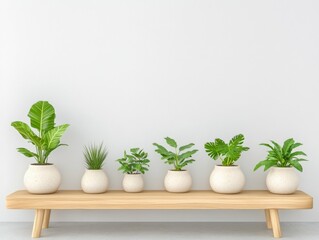 Aufkleber - Serene Display of Rare Plants on Wooden Bench in Minimalist Setting