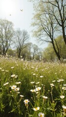 Wall Mural - Sun-dappled glade, white wildflowers, butterflies, Lepidoptera, close-up, natural