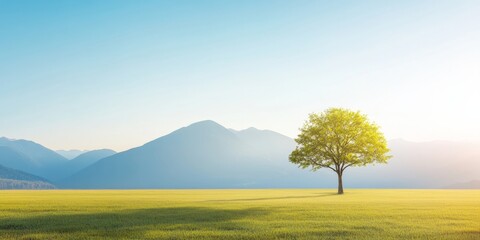 Wall Mural - Serene Meadow with Tree and Mountains under Golden Sunlight