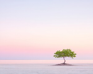 Poster - Serene Beachside Sunset with Lone Tree and Soft Pastel Sky