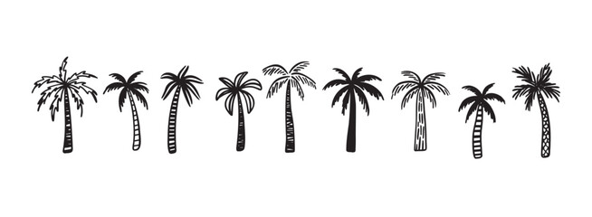 Wall Mural - palm tree tropical nature, vegetation doodle hand drawn icon set. outline drawing palm tree tropical