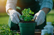 © Yuan - Gardener nurturing young plant in pot, surrounded by gardening supplies