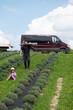 © Niko_Dali - A man carries boards on his shoulders and a little girl sits on the grass near lavender bushes in spring.