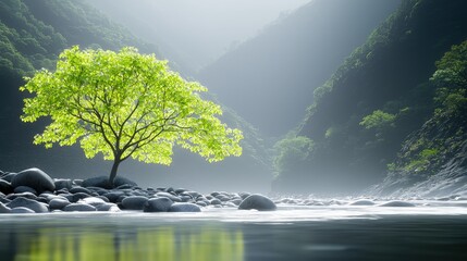 Wall Mural - Solitary tree on a riverbank in a misty mountain valley.