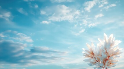 Wall Mural - Serene white flowers against a bright blue sky.