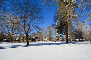 A tree lined street of Victorian and historic homes across from the city park at winter with snow on the ground, in the historic Fort Grounds district of Coeur d'Alene, Idaho, USA.	
