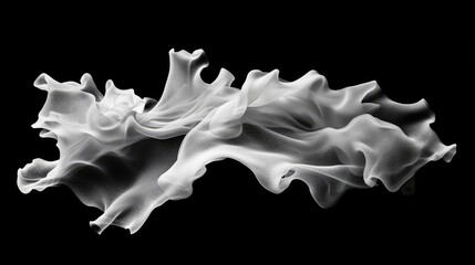 Poster - Abstract flowing fabric draped elegantly against a black background, showcasing smooth textures and graceful movement, perfect for artistic and modern design concepts.