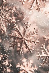 Wall Mural - Snowflake Close Up